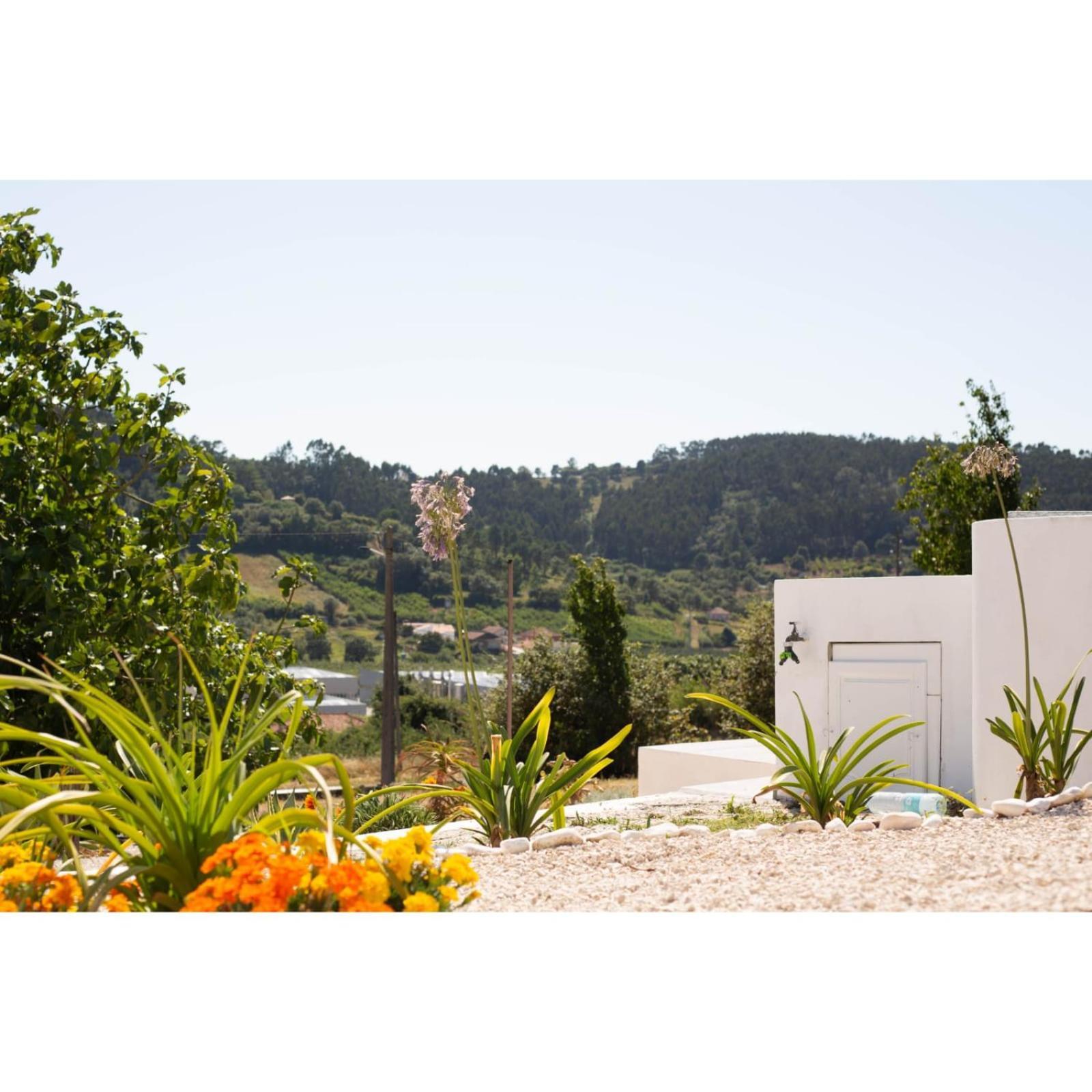 Bb Silvercoast Casa Das Flores Santa Catarina  Екстер'єр фото