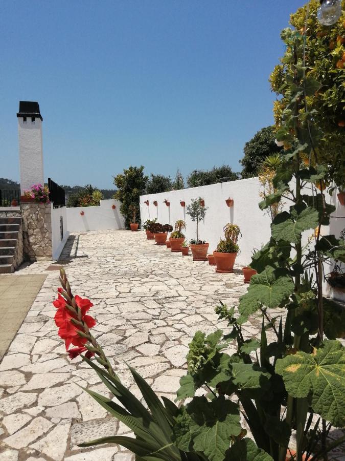Bb Silvercoast Casa Das Flores Santa Catarina  Екстер'єр фото