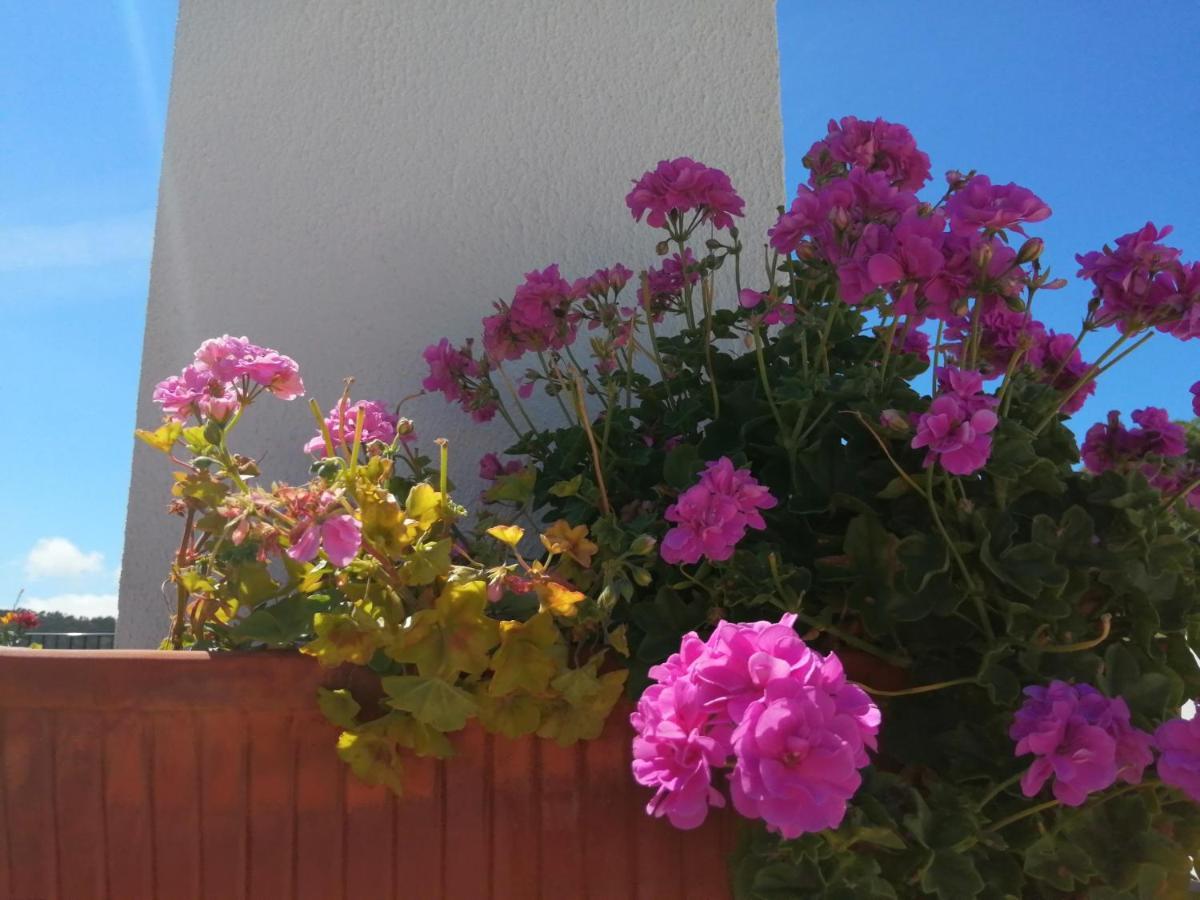 Bb Silvercoast Casa Das Flores Santa Catarina  Екстер'єр фото